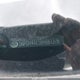 5NPDH4AE5BH061376 2011 Hyundai Elantra Gls auction photo thumbnail 12