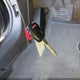 2HGFA1F56BH305681 2011 Honda Civic Lx auction photo thumbnail 11