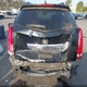 3GYFNGEY9AS610969 2010 Cadillac Srx Standard auction photo thumbnail 6