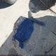 2T3A1RFV0PW391312 2023 Toyota Rav4 Xle Premium auction photo thumbnail 12