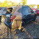 4S4BTGUD3P3141624 2023 Subaru Outback Wilderness auction photo thumbnail 4