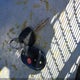 5TEUU42N07Z415402 2007 Toyota Tacoma Base V6 auction photo thumbnail 11