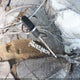 3GNEC16T61G251162 2001 Chevrolet Suburban 1500 Lt auction photo thumbnail 11