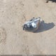 2C4RDGBG4GR341397 2016 Dodge Grand Caravan Se Plus auction photo thumbnail 12
