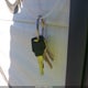 1UJBJ0BLXH17Z0880 2017 Jayco Jay Flight Slx 212Qb auction photo thumbnail 11