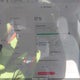 7SAYGDEE0PF596381 2023 Tesla Model Y Awd/Long Range Dual Motor All-Wheel Drive auction photo thumbnail 17