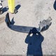 2T3ZF4DV9CW106997 2012 Toyota Rav4 auction photo thumbnail 12