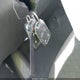 1GCRYEED7KZ310783 2019 Chevrolet Silverado 1500 Rst auction photo thumbnail 11