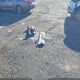 1HGCR2F34EA264258 2014 Honda Accord Lx auction photo thumbnail 12