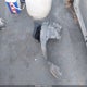 1FAHP35N69W198359 2009 Ford Focus Se auction photo thumbnail 12