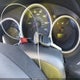JHMGD38418S071766 2008 Honda Fit auction photo thumbnail 11