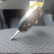 1FTEW1E48LFC70715 2020 Ford F-150 Xlt auction photo thumbnail 11