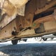 1GTCS13E698101742 2009 GMC Canyon Sle1 auction photo thumbnail 12