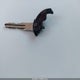 JN8AZ28R49T120764 2009 Nissan Cube 1.8S auction photo thumbnail 11
