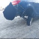 1G4PP5SKXD4146521 2013 Buick Verano auction photo thumbnail 18