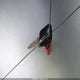 1FAFP52U2WG106863 1998 Ford Taurus Lx/Se auction photo thumbnail 11