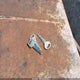 2FABP72F7HX131198 1987 Ford Crown Victoria S auction photo thumbnail 11