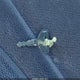1B7GL22N6YS729162 2000 Dodge Dakota Slt/Sport auction photo thumbnail 11