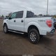 1FTFW1ET6DFB28781 2013 Ford F-150 Xlt auction photo thumbnail 14