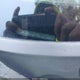 JM1BK12F951272607 2005 Mazda Mazda3 I auction photo thumbnail 9