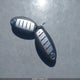 JN8AT2MT4JW464181 2018 Nissan Rogue Sl auction photo thumbnail 11