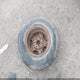 1GCEC14W0XZ117343 1999 Chevrolet Silverado 1500 auction photo thumbnail 12