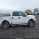 1FTFW1EF3BFC61697 2011 Ford F-150 Xlt auction photo thumbnail 13
