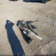 4S4BTACC0P3219038 2023 Subaru Outback Premium auction photo thumbnail 12