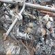 4XASXN851JB306641 2018 Polaris Sportsman 850 High Lifter Edition auction photo thumbnail 9