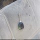 2G1WF52E459213425 2005 Chevrolet Impala auction photo thumbnail 11