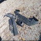 KL77LJEP0SC316658 2025 Chevrolet Trax Fwd 2Rs auction photo thumbnail 12