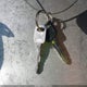 1FTCR10A4RPB60257 1994 Ford Ranger auction photo thumbnail 11