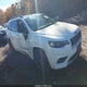 1C4PJMDX1KD354485 2019 Jeep Cherokee High Altitude 4X4 auction photo thumbnail 1