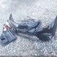 4T1G11AKXLU857095 2020 Toyota Camry Se auction photo thumbnail 12