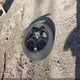 2GNFLHEK8E6322319 2014 Chevrolet Equinox Ltz auction photo thumbnail 12