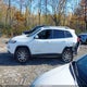 1C4PJMDS2FW632972 2015 Jeep Cherokee Limited auction photo thumbnail 14