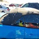 1ZVBP8EN5A5163820 2010 Ford Mustang V6/V6 Premium auction photo thumbnail 18