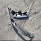 2G2WP522551246012 2005 Pontiac Grand Prix auction photo thumbnail 12