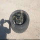 1GNSKAKCXLR294286 2020 Chevrolet Tahoe K1500 Ls auction photo thumbnail 12