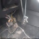 3VWE57BU7KM035518 2019 Volkswagen Jetta 1.4T Sel auction photo thumbnail 11