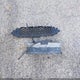 1FADP3F21GL365552 2016 Ford Focus Se auction photo thumbnail 12