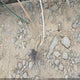 4YMBU0818KV037245 2019 Carry-On 5X8Sp auction photo thumbnail 7