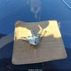1G2FW87H2GL236309 1986 Pontiac Firebird Trans Am auction photo thumbnail 11
