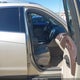 3GYFNBE36FS537218 2015 Cadillac Srx Luxury Collection auction photo thumbnail 5