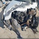 WDDKK5KFXEF276472 2014 Mercedes-Benz E 350 auction photo thumbnail 12