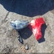 JM1GJ1V68E1134299 2014 Mazda Mazda6 I Touring auction photo thumbnail 11