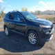 1C4PJMDS4GW116033 2016 Jeep Cherokee Limited auction photo thumbnail 6