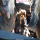 5NPE24AF0GH282602 2016 Hyundai Sonata Se auction photo thumbnail 8