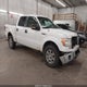 1FTFW1EV7AFC72045 2010 Ford F-150 Fx4/Harley-Davidson/King Ranch/Lariat/Platinum/Xl/Xlt auction photo thumbnail 1