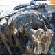 SALSK25488A136790 2008 Land Rover Range Rover Sport Hse auction photo thumbnail 7